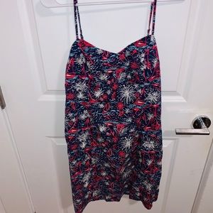 Lilly Pulitzer Dummer Dress
